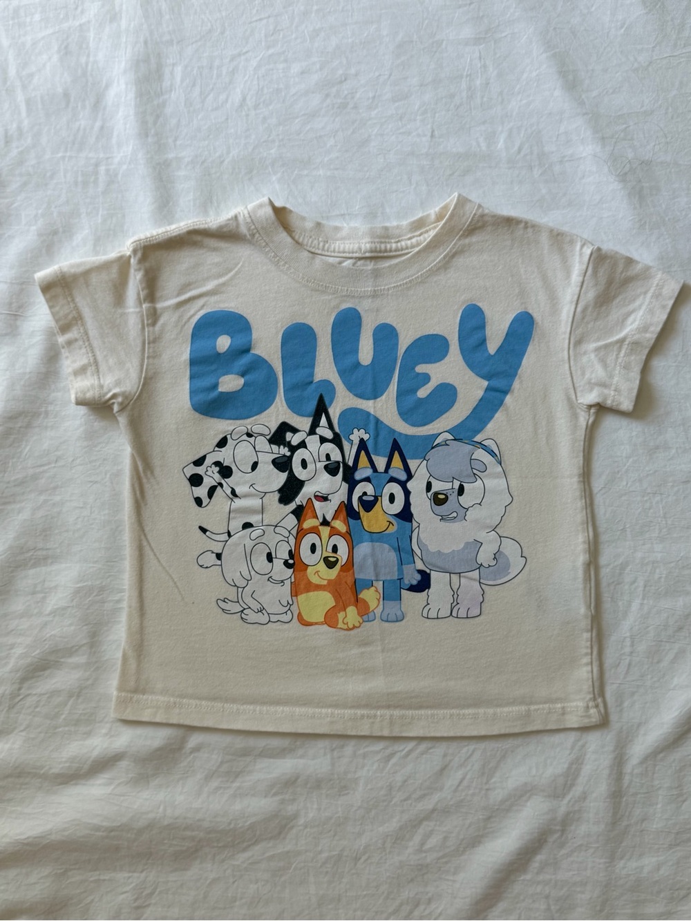 Bluey Kids 2T Character Group Graphic T-Shirt Cream Short Sleeve